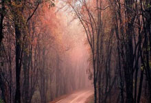 开云体育-欧洲网球队力克日本网球队，费德勒打破历史纪录——一场精彩绝伦的网球盛宴