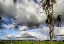 开云体育官网-澳网绝杀年终总决赛，穆雷惊艳四座