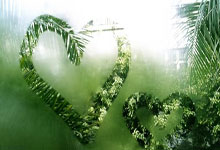 开云体育APP下载-悬崖边的逆袭！热刺客场2-1绝境突围榜首王座染血的秘密